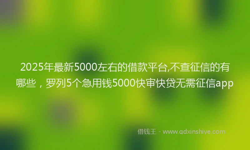 2025年最新5000左右的借款平台,不查征信的有哪些，罗列5个急用钱5000快审快贷无需征信app