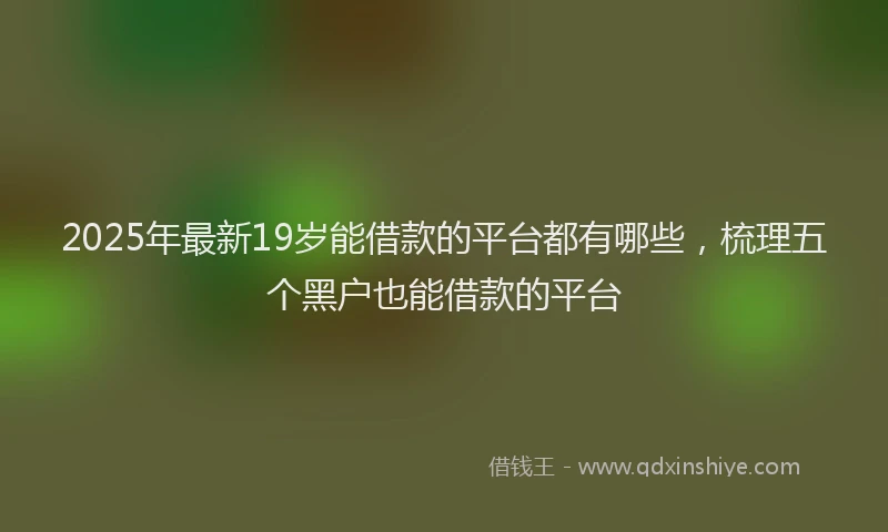 2025年最新19岁能借款的平台都有哪些，梳理五个黑户也能借款的平台