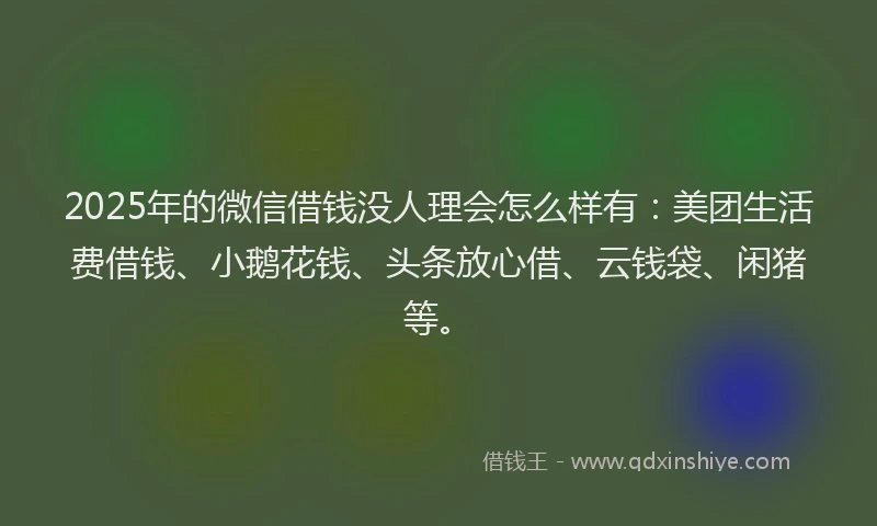 2025年的微信借钱没人理会怎么样有：美团生活费借钱、小鹅花钱、头条放心借、云钱袋、闲猪等。
