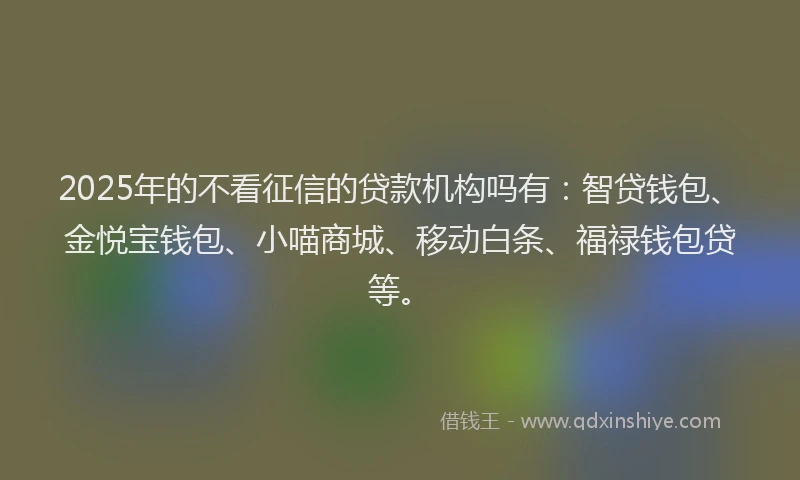 2025年的不看征信的贷款机构吗有：智贷钱包、金悦宝钱包、小喵商城、移动白条、福禄钱包贷等。