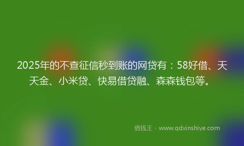 2025年的不查征信秒到账的网贷有：58好借、天天金、小米贷、快易借贷融、森森钱包等。