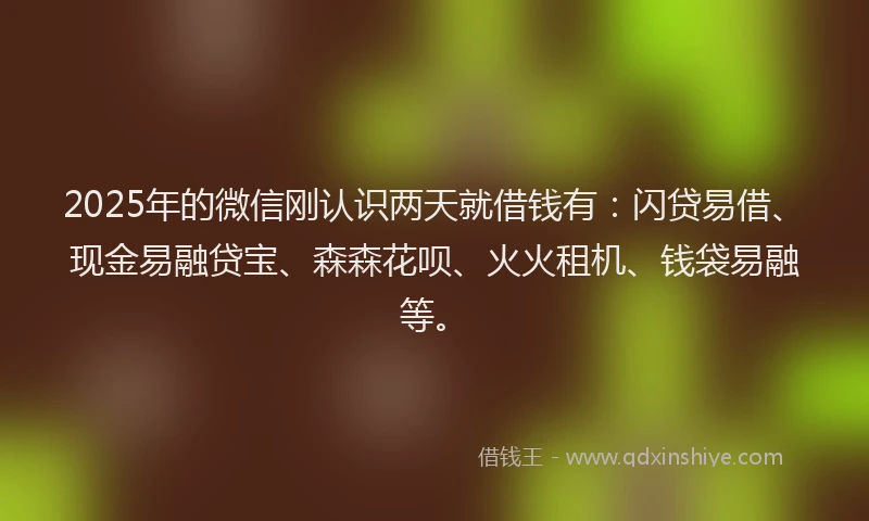 2025年的微信刚认识两天就借钱有：闪贷易借、现金易融贷宝、森森花呗、火火租机、钱袋易融等。