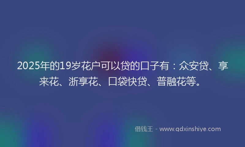 2025年的19岁花户可以贷的口子有：众安贷、享来花、浙享花、口袋快贷、普融花等。