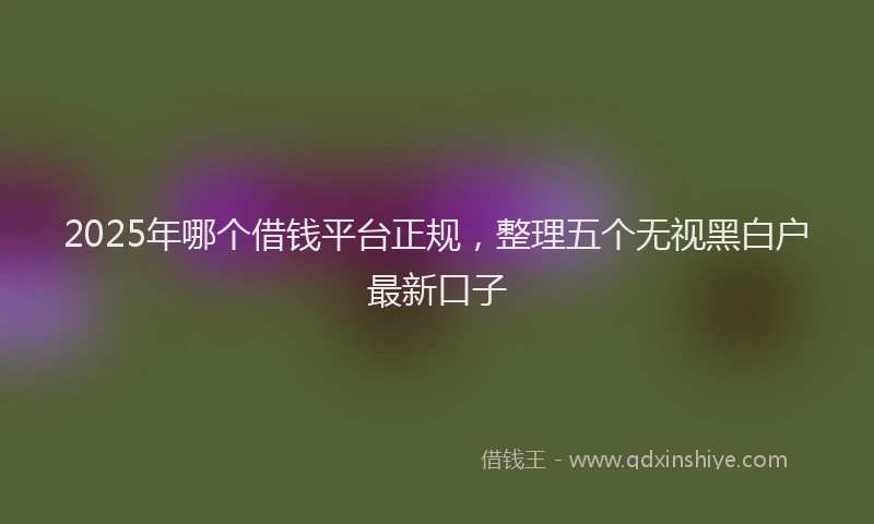 2025年哪个借钱平台正规，整理五个无视黑白户最新口子