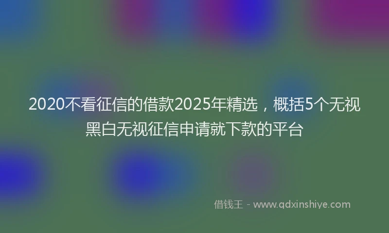 2020不看征信的借款2025年精选，概括5个无视黑白无视征信申请就下款的平台