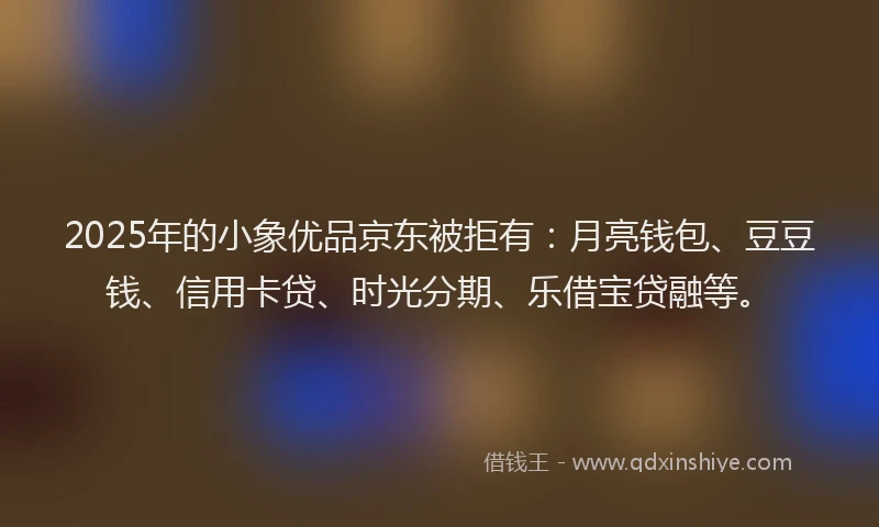 2025年的小象优品京东被拒有：月亮钱包、豆豆钱、信用卡贷、时光分期、乐借宝贷融等。