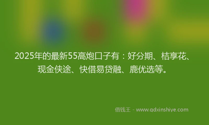 2025年的最新55高炮口子有：好分期、桔享花、现金侠途、快借易贷融、鹿优选等。