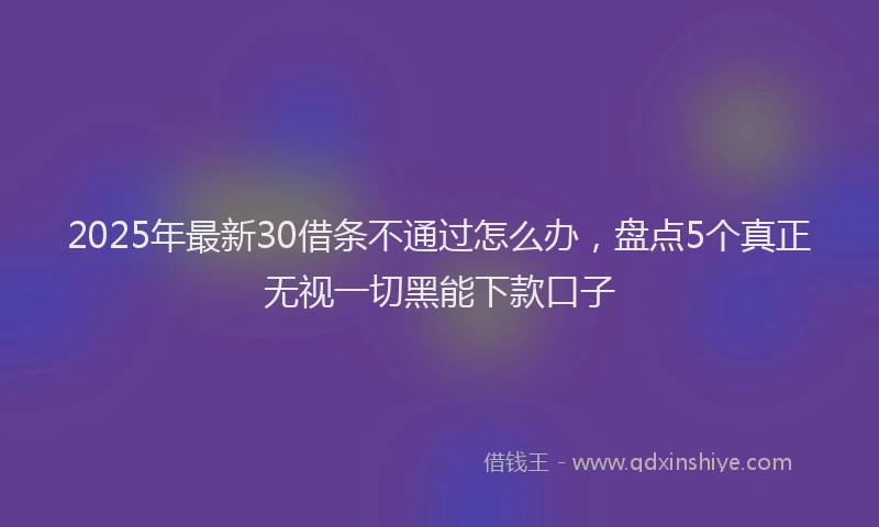 2025年最新30借条不通过怎么办，盘点5个真正无视一切黑能下款口子
