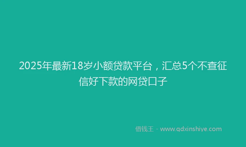 2025年最新18岁小额贷款平台，汇总5个不查征信好下款的网贷口子