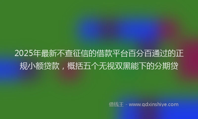 2025年最新不查征信的借款平台百分百通过的正规小额贷款，概括五个无视双黑能下的分期贷