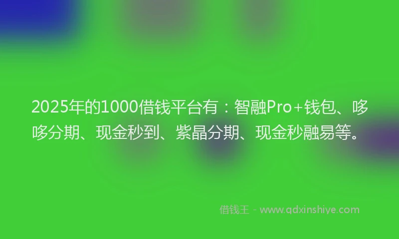 2025年的1000借钱平台有：智融Pro+钱包、哆哆分期、现金秒到、紫晶分期、现金秒融易等。