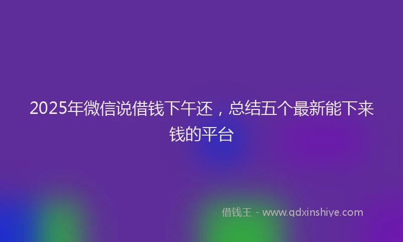 2025年微信说借钱下午还，总结五个最新能下来钱的平台