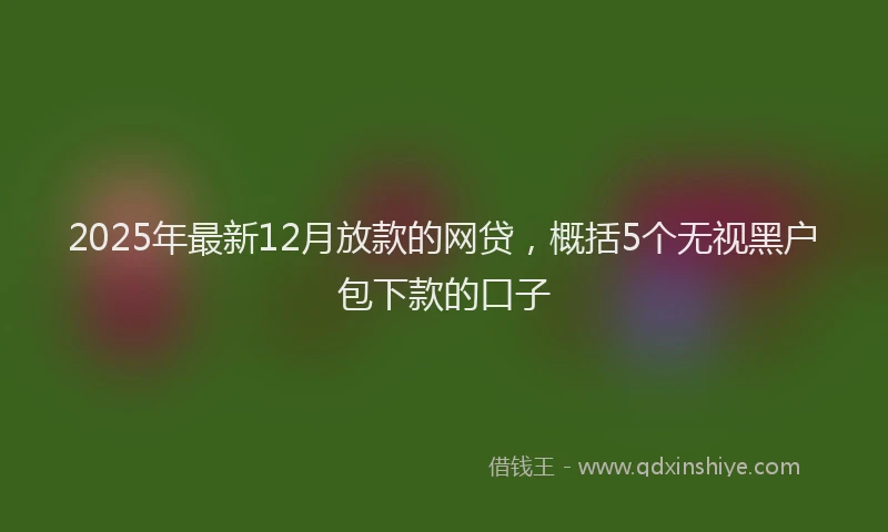 2025年最新12月放款的网贷，概括5个无视黑户包下款的口子