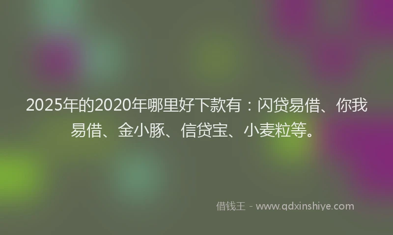 2025年的2020年哪里好下款有：闪贷易借、你我易借、金小豚、信贷宝、小麦粒等。
