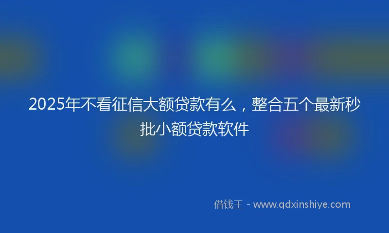 2025年不看征信大额贷款有么，整合五个最新秒批小额贷款软件