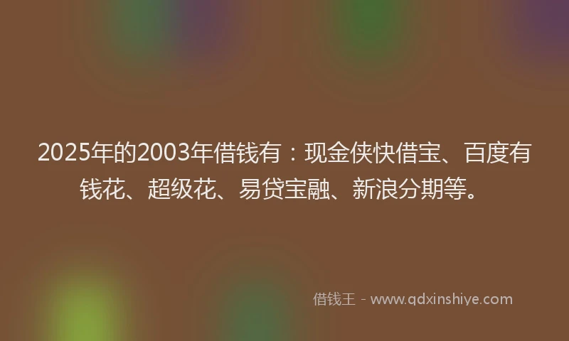 2025年的2003年借钱有：现金侠快借宝、百度有钱花、超级花、易贷宝融、新浪分期等。