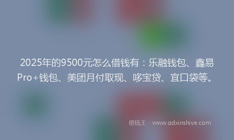2025年的9500元怎么借钱有：乐融钱包、鑫易Pro+钱包、美团月付取现、哆宝贷、宜口袋等。