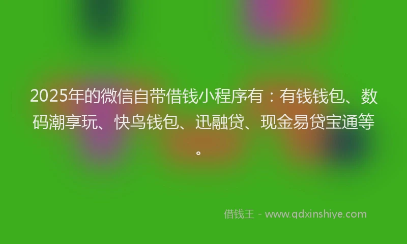 2025年的微信自带借钱小程序有：有钱钱包、数码潮享玩、快鸟钱包、迅融贷、现金易贷宝通等。