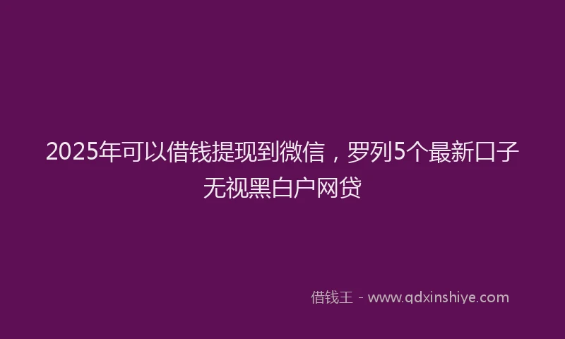 2025年可以借钱提现到微信，罗列5个最新口子无视黑白户网贷