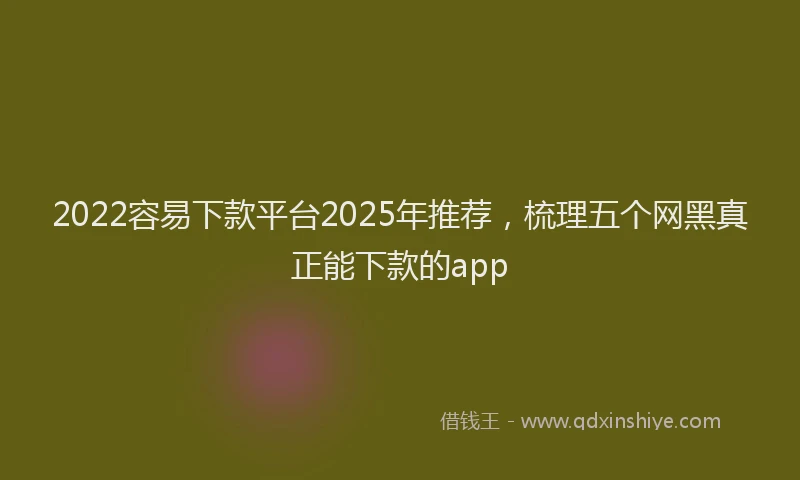 2022容易下款平台2025年推荐，梳理五个网黑真正能下款的app
