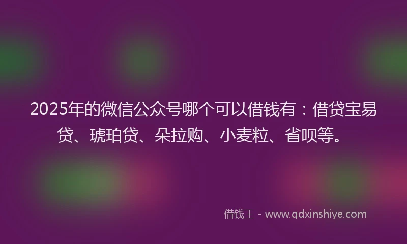 2025年的微信公众号哪个可以借钱有：借贷宝易贷、琥珀贷、朵拉购、小麦粒、省呗等。