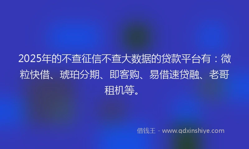 2025年的不查征信不查大数据的贷款平台有：微粒快借、琥珀分期、即客购、易借速贷融、老哥租机等。