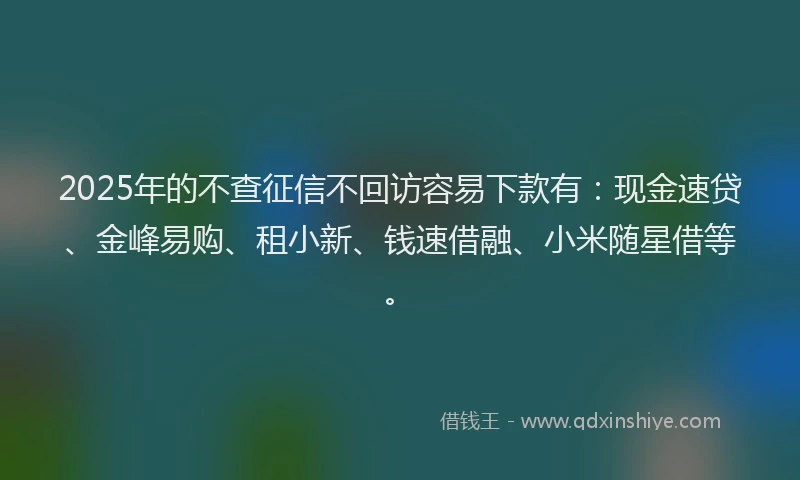 2025年的不查征信不回访容易下款有：现金速贷、金峰易购、租小新、钱速借融、小米随星借等。