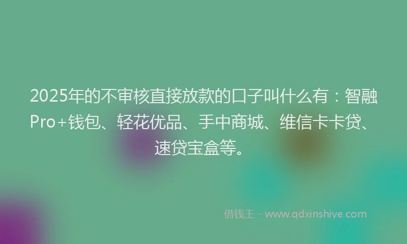 2025年的不审核直接放款的口子叫什么有：智融Pro+钱包、轻花优品、手中商城、维信卡卡贷、速贷宝盒等。