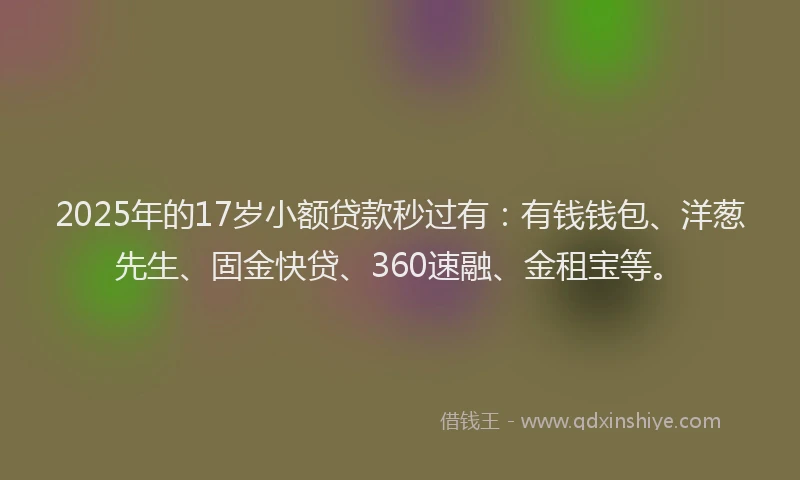 2025年的17岁小额贷款秒过有：有钱钱包、洋葱先生、固金快贷、360速融、金租宝等。