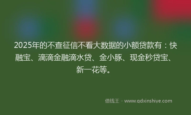 2025年的不查征信不看大数据的小额贷款有：快融宝、滴滴金融滴水贷、金小豚、现金秒贷宝、新一花等。