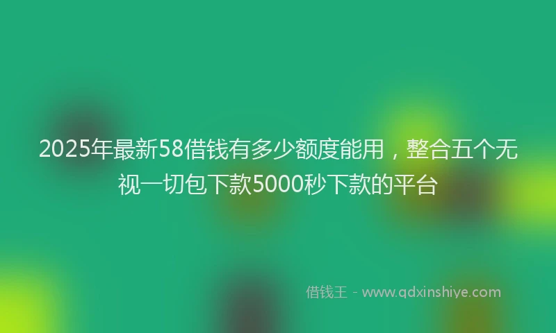 2025年最新58借钱有多少额度能用，整合五个无视一切包下款5000秒下款的平台