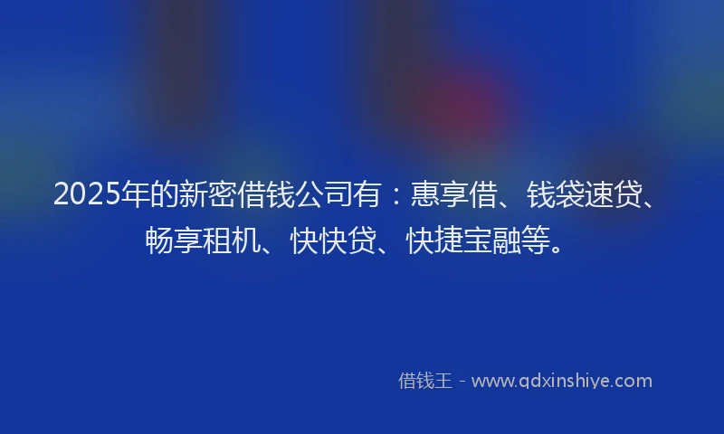 2025年的新密借钱公司有：惠享借、钱袋速贷、畅享租机、快快贷、快捷宝融等。