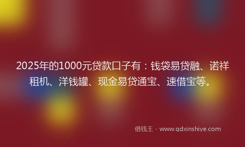 2025年的1000元贷款口子有：钱袋易贷融、诺祥租机、洋钱罐、现金易贷通宝、速借宝等。