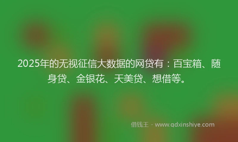2025年的无视征信大数据的网贷有：百宝箱、随身贷、金银花、天美贷、想借等。