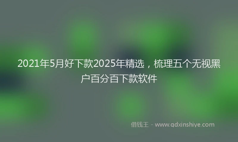 2021年5月好下款2025年精选，梳理五个无视黑户百分百下款软件