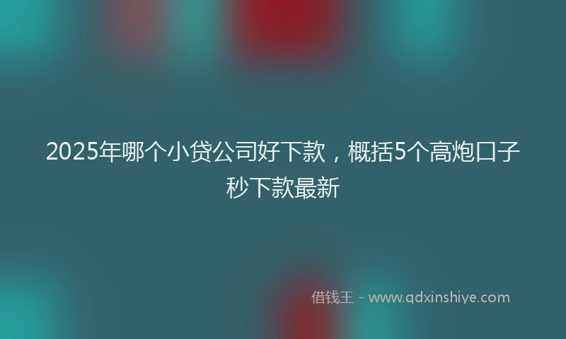 2025年哪个小贷公司好下款，概括5个高炮口子秒下款最新