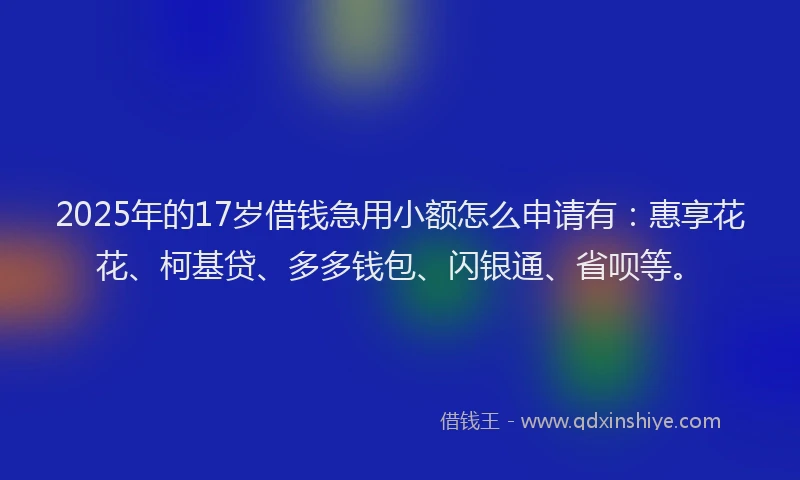 2025年的17岁借钱急用小额怎么申请有：惠享花花、柯基贷、多多钱包、闪银通、省呗等。