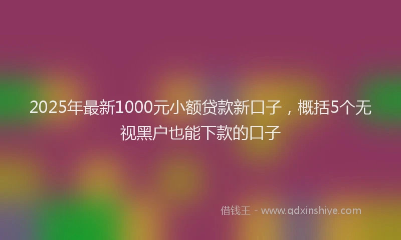 2025年最新1000元小额贷款新口子，概括5个无视黑户也能下款的口子