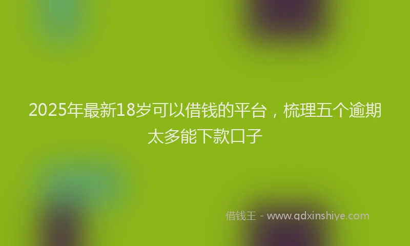 2025年最新18岁可以借钱的平台，梳理五个逾期太多能下款口子