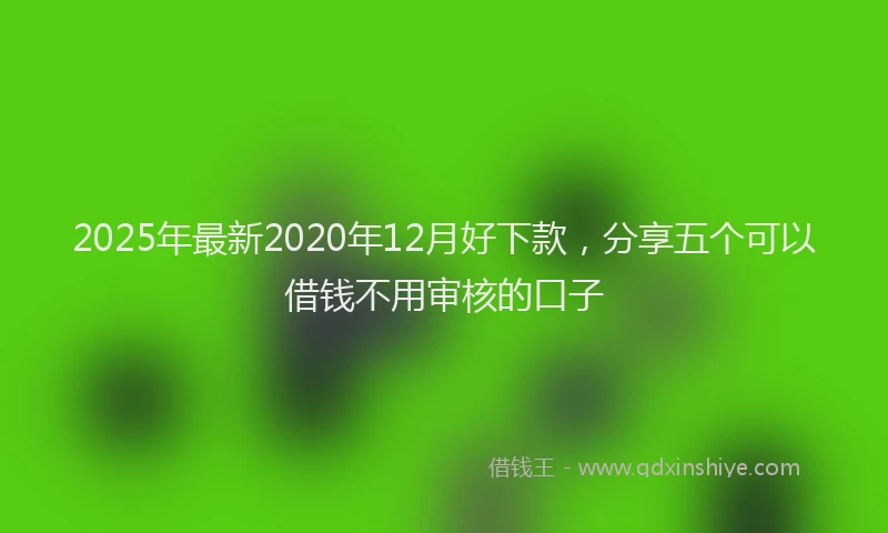 2025年最新2020年12月好下款，分享五个可以借钱不用审核的口子