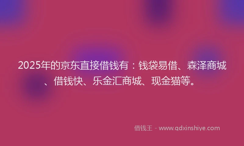 2025年的京东直接借钱有：钱袋易借、森泽商城、借钱快、乐金汇商城、现金猫等。