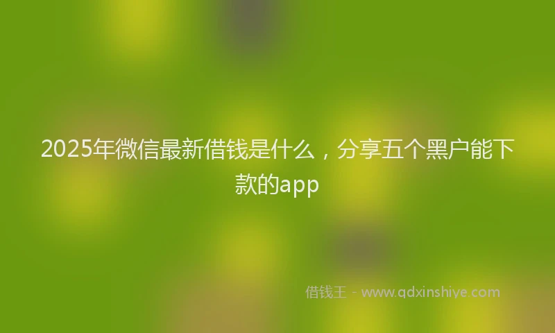 2025年微信最新借钱是什么，分享五个黑户能下款的app