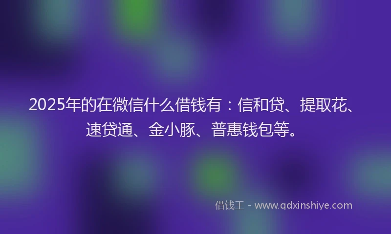 2025年的在微信什么借钱有：信和贷、提取花、速贷通、金小豚、普惠钱包等。