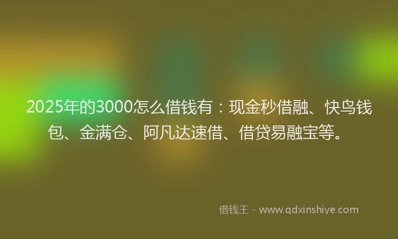 2025年的3000怎么借钱有：现金秒借融、快鸟钱包、金满仓、阿凡达速借、借贷易融宝等。