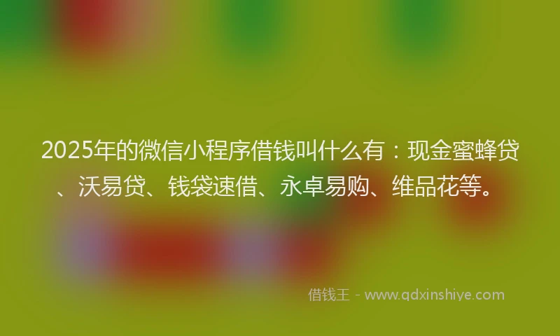 2025年的微信小程序借钱叫什么有：现金蜜蜂贷、沃易贷、钱袋速借、永卓易购、维品花等。