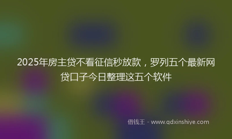 2025年房主贷不看征信秒放款，罗列五个最新网贷口子今日整理这五个软件
