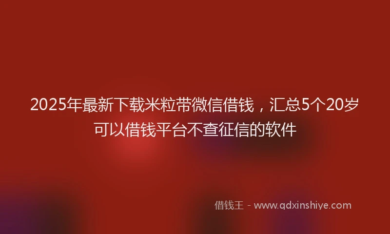 2025年最新下载米粒带微信借钱，汇总5个20岁可以借钱平台不查征信的软件