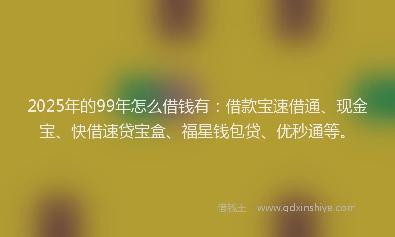 2025年的99年怎么借钱有：借款宝速借通、现金宝、快借速贷宝盒、福星钱包贷、优秒通等。