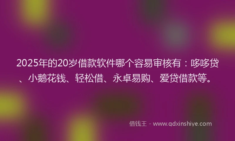 2025年的20岁借款软件哪个容易审核有：哆哆贷、小鹅花钱、轻松借、永卓易购、爱贷借款等。
