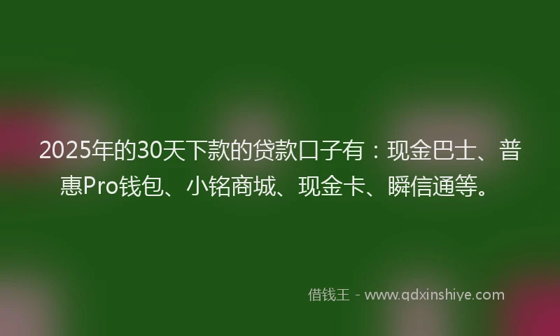 2025年的30天下款的贷款口子有：现金巴士、普惠Pro钱包、小铭商城、现金卡、瞬信通等。